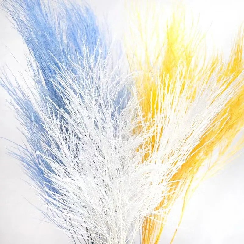 Bluejw Feathery Dried Flowers Bouquet - Natural Preserved Plants for Wedding, Christmas, Valentine's Day, Graduation, Easter & DIY Decor - Image 4