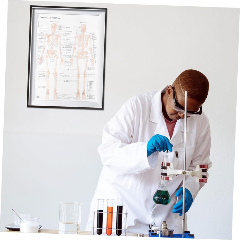 SOESFOUFU Human Skeletal Muscle Anatomy Poster 20X28Inch (50X70Cm) Silk Cloth Hanging Skeletal Structure Chart for Science Education and Office Decoration - Image 5