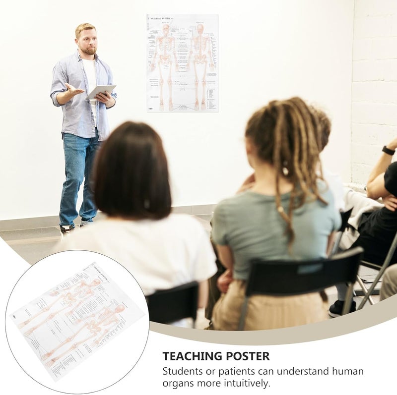 SOESFOUFU Human Skeletal Muscle Anatomy Poster 20X28Inch (50X70Cm) Silk Cloth Hanging Skeletal Structure Chart for Science Education and Office Decoration - Image 3