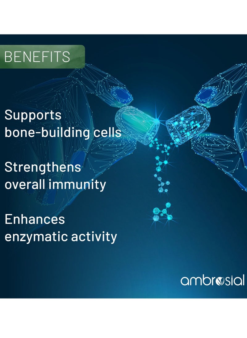 ambrosial - Calcium Magnesium Zinc And Vitamin D3 Calcium Tablets- 60 Softgels - Image 1