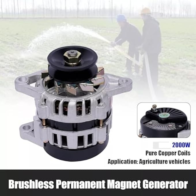 OLONETO 2000W 110V Permanent Magnet Brushless Small Alternator With Voltage Stabilizing Pure Copper Wire Permanent Magnet AC Generator - Image 2