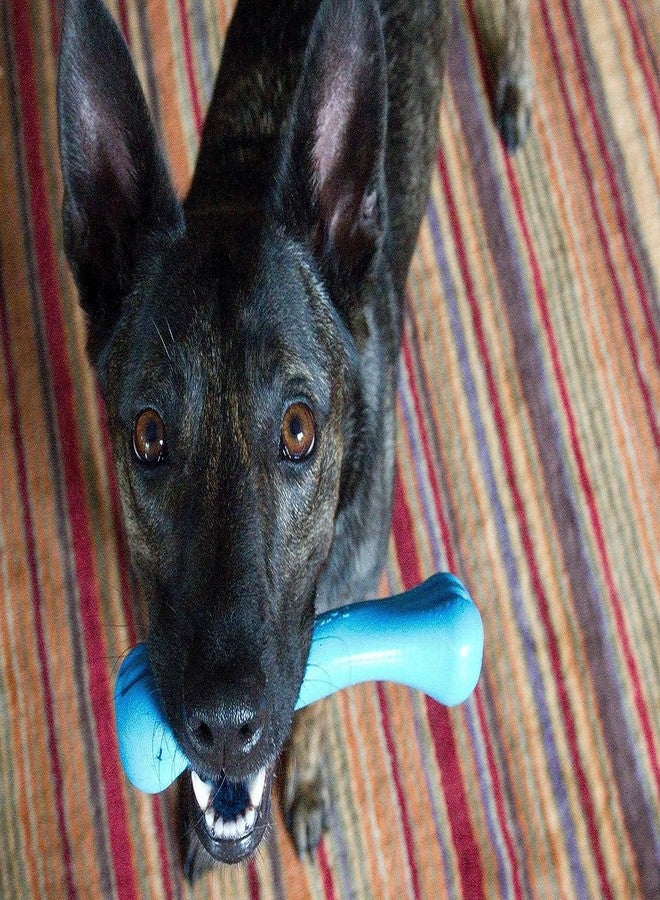 Jolly Pets 3 Pack of Jolly Bones, Blue, Large 8-Inch - Image 5