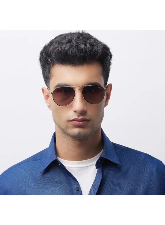 Lee Cooper Polarized Sunglasses Gold Frame Gradient Brown Mirror Lens 56mm  - LC1205C02