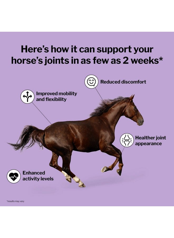 Formula 707 Formula 707 Joint 6in1 Equine Supplement 5 lb Bag - Support for Joint Integrity and Inflammatory Response in Horses - Green-Lipped Mussel, MSM, Glucosamine, Chondroitin & Collagen  - Image 1
