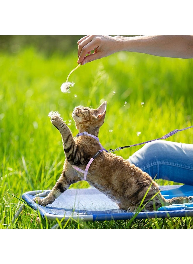 طقم أحزمة ومقود للقطط، حزام للقطط قابل للتعديل بمستوى متدرج ضد الهروب مع مقود للمشي الخارجي للقطط (لون بنفسجي متدرج) - Image 4