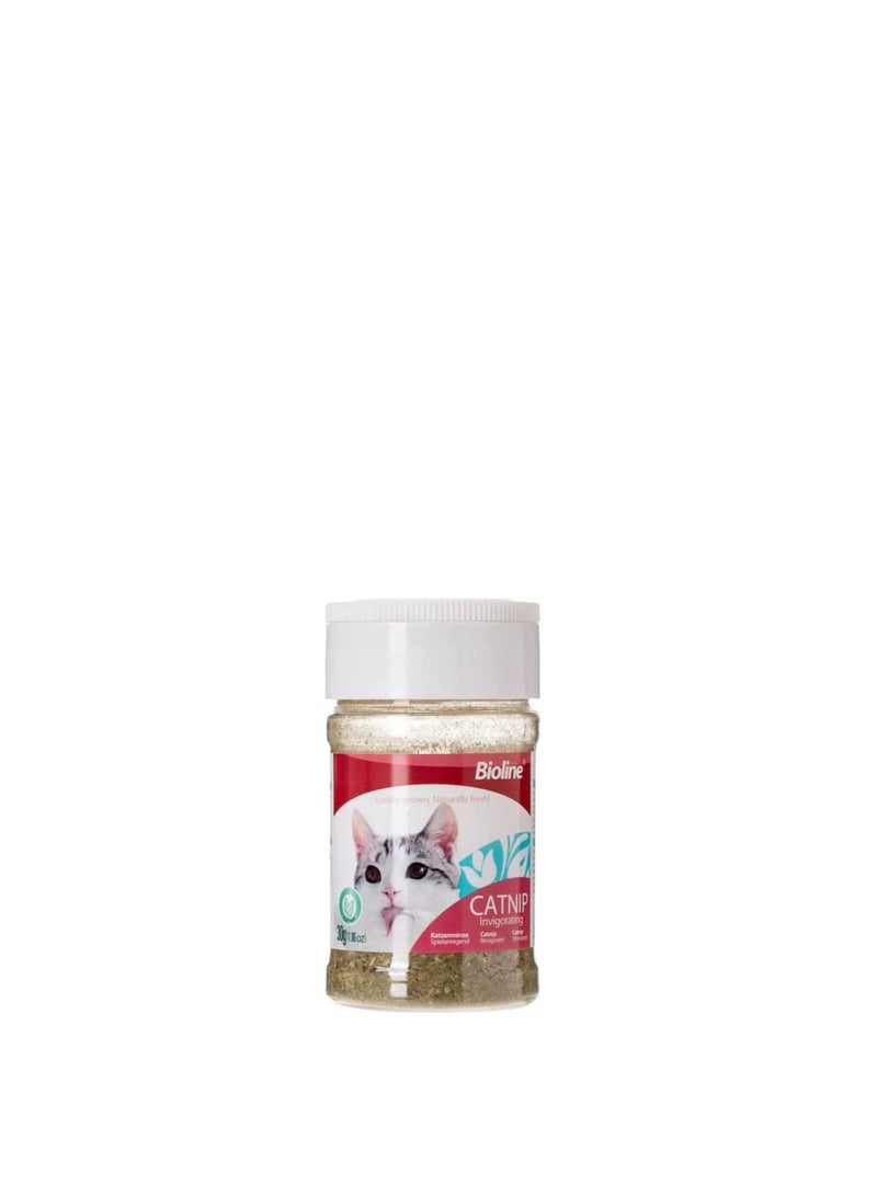 Bioline Catnip 30g