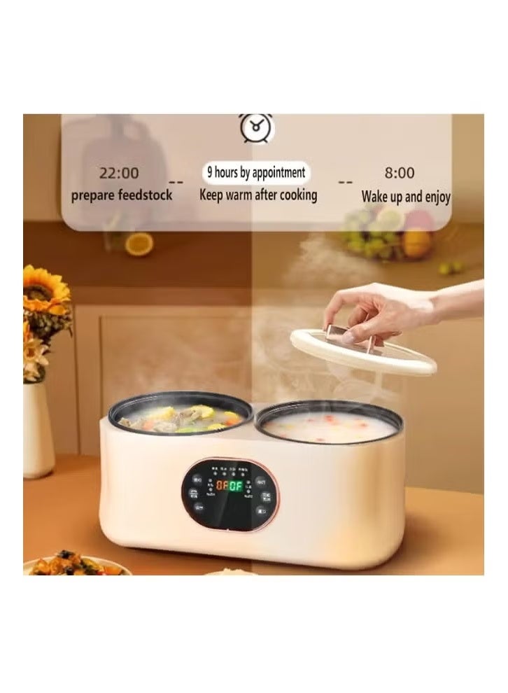 دينكس وعاء طهي مزدوج 2 في 1، وعاء ساخن كهربائي متعدد الوظائف مع بطانة مزدوجة وشاشة رقمية - Image 2