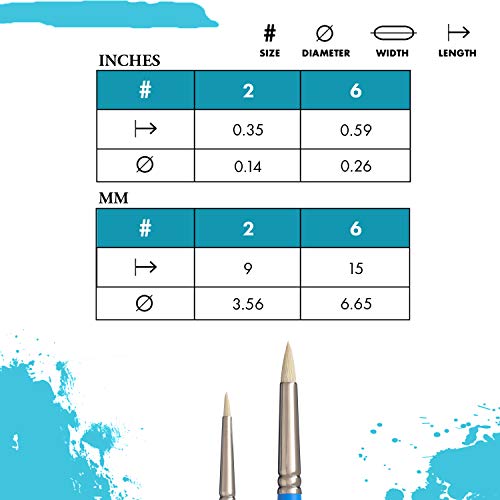 Princeton Select Artiste Dome Paintbrush, Size 6, Multicolor - Image 3