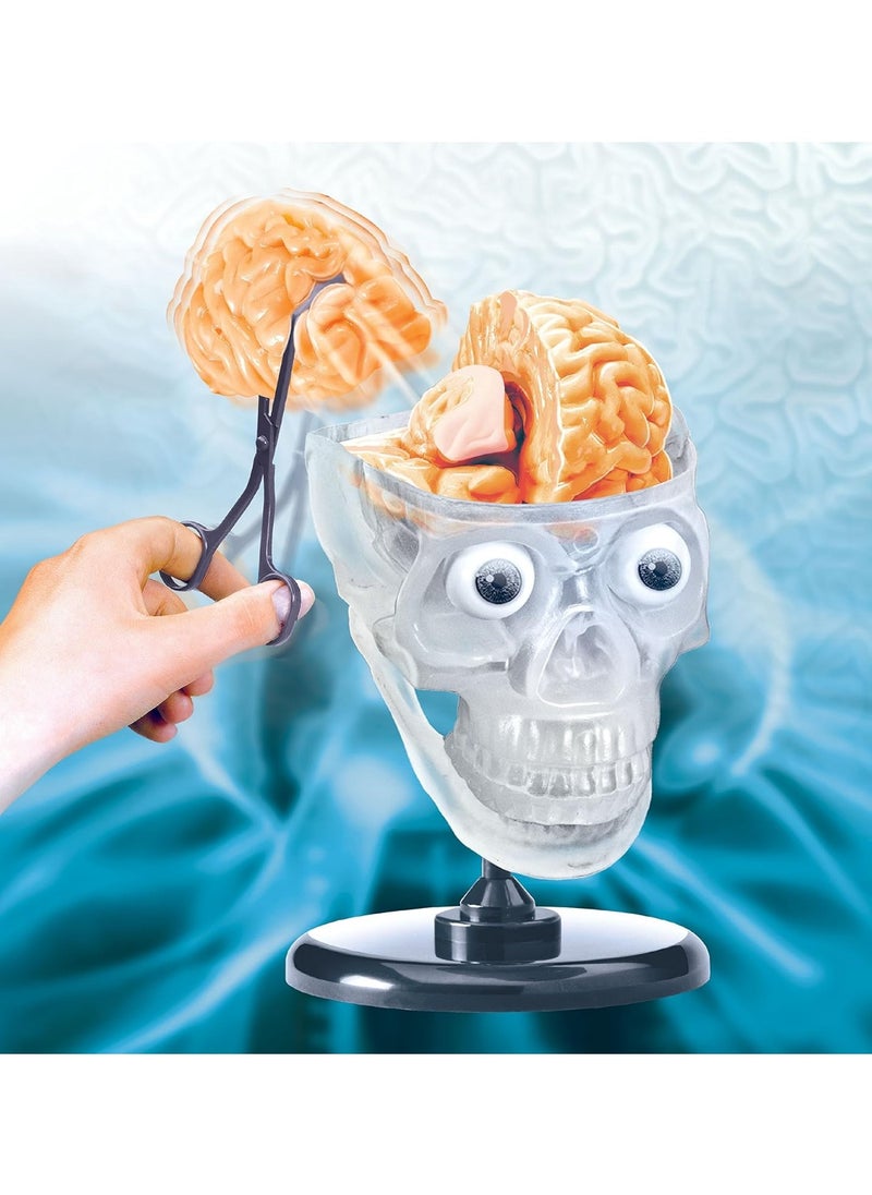 SmartLab - SmartLab Toys The Amazing Squishy Brain - Image 1