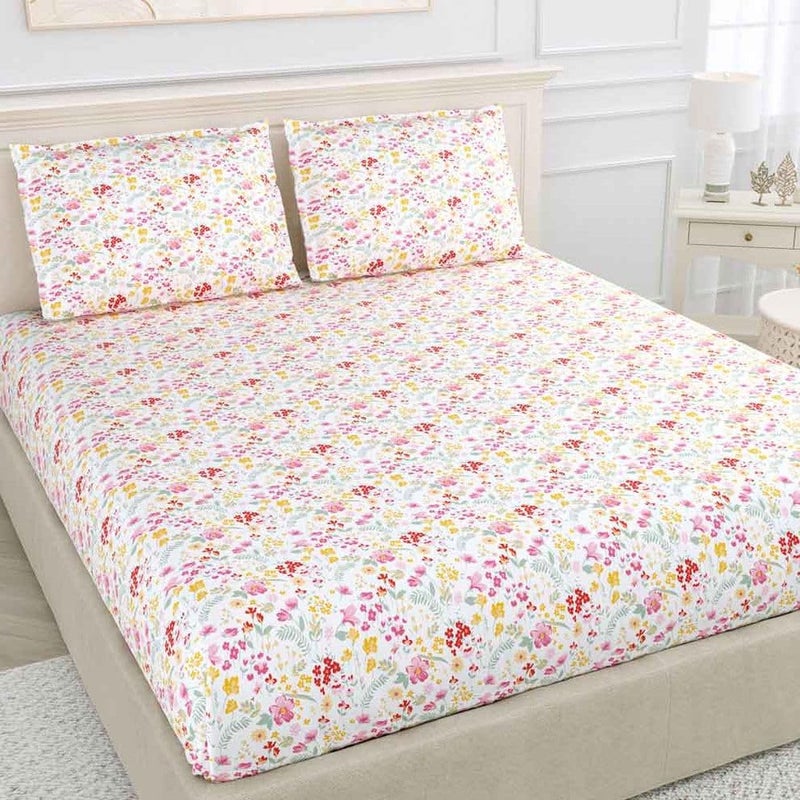 TIQH TIQH 4th Gen Double Bed Super King SizeHypoallergenic Skin Friendly 196 TC 100 Cotton Soft Touch Luxuriously Bed Sheet Set 108x108 Super King Utopia Red  - Image 2