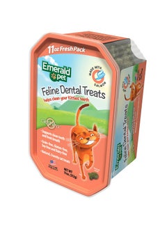 Feline Dental Treats - Tasty and Crunchy Cat Dental Treats Grain Free - Natural Dental Treats to Clean Cat Teeth, Freshen Cat Breath, and Reduce Plaque and Tartar Buildup - Salmon Treats, 11 oz - pzsku/ZAE7E055DBAD5D740E386Z/45/_/1737032096/42e337f2-b1bd-463f-ae1f-ea79aeb4b405