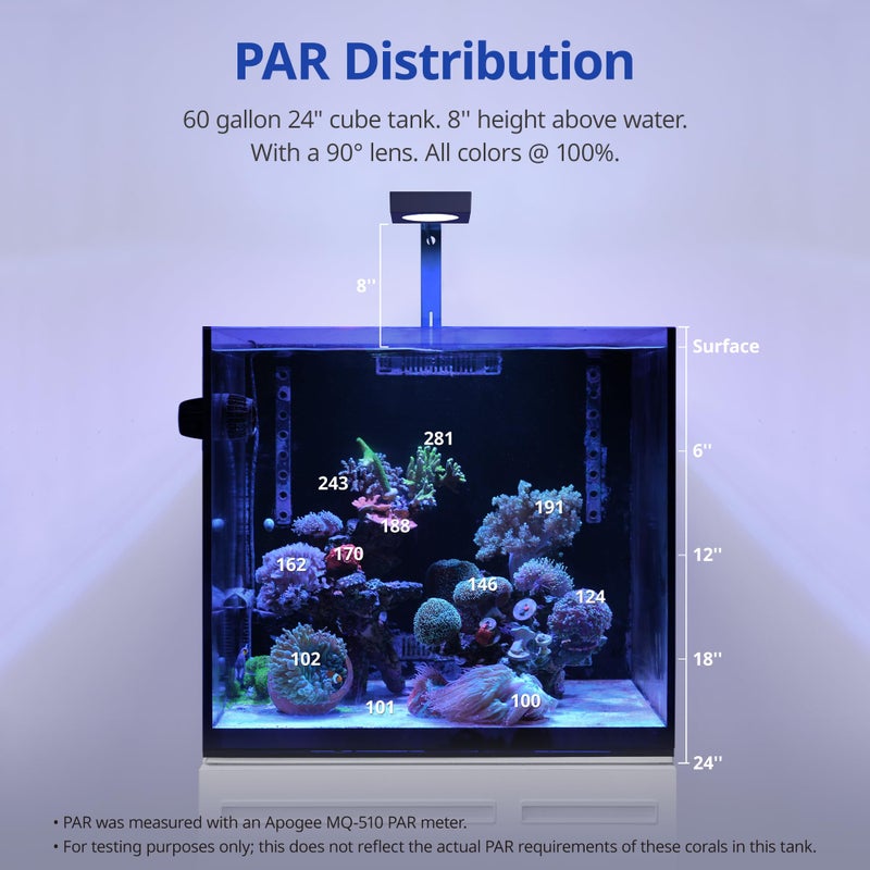NICREW NavaReef 65 Reef LED Light, 65W Reef Aquarium Lighting for Soft/LPS Corals and Saltwater Fish Tanks, Built-in Timer, Blue Focused Spectrum - Image 4