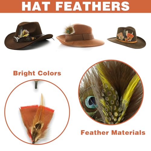 CANIPHA 12Pcs Hat Feathers for Cowboy Hats, Small Feathers for Hats, Natural Assorted Feathers Cowboy Hat Feather, Colorful Craft Feathers Hat Feathers for DIY Craft Accessories Decorations (12 Style) - Image 2
