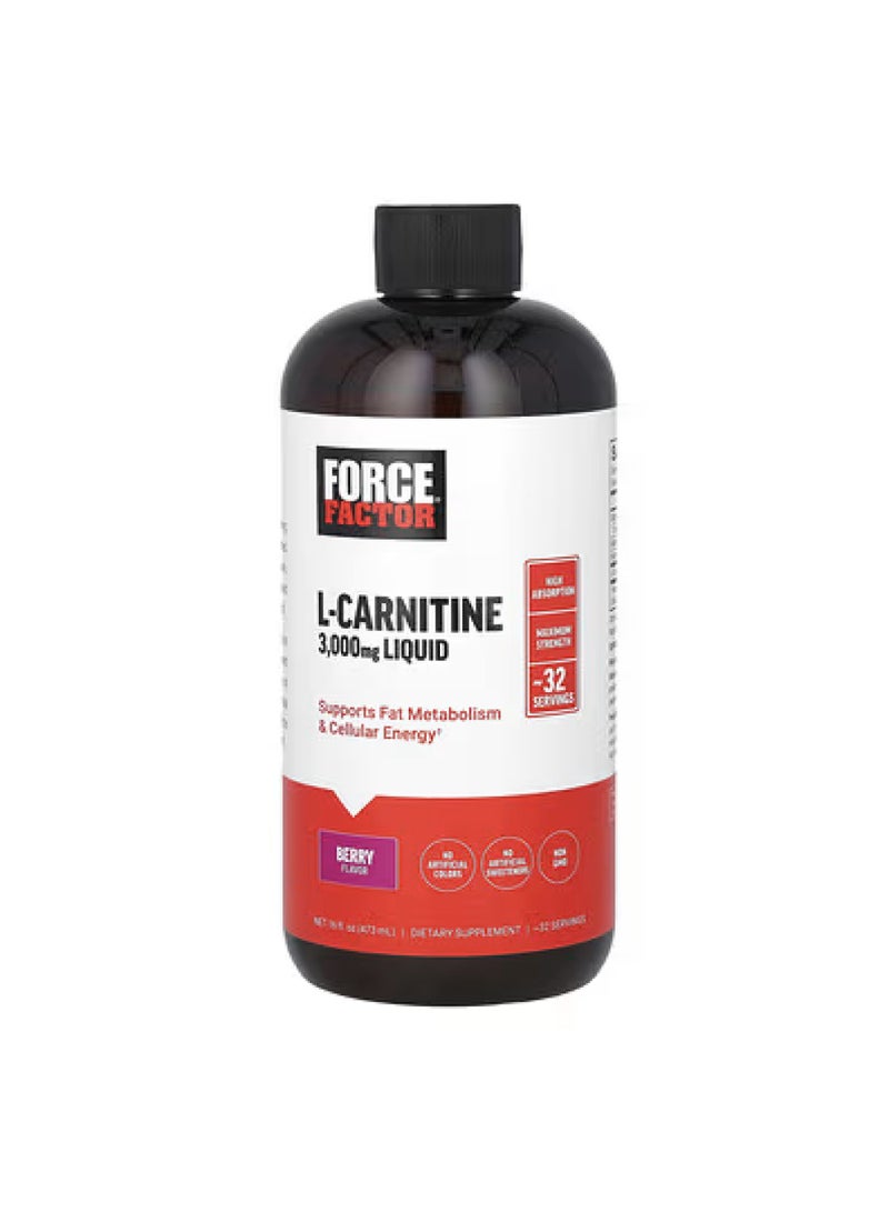 L-Carnitine Liquid, Berry, 3,000 mg , 16 fl oz (473 ml)