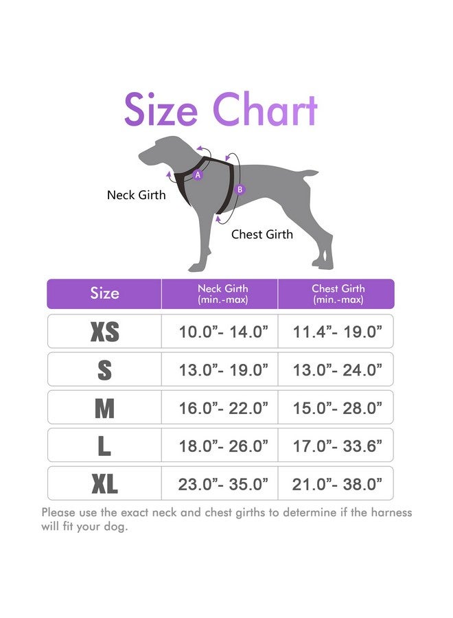 رابيتجو حزام كلاب من rabbitgoo، حزام لا يسحب للحيوانات الأليفة مع مشبكين للمقود، سترة ناعمة مبطنة قابلة للتعديل للكلاب، سترة أكسفورد عاكسة لا تخنق الحيوانات الأليفة مع مقبض تحكم سهل للكلاب متوسطة الحجم، أرجواني، مقاس M - Image 2