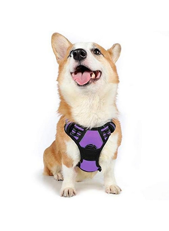 رابيتجو حزام كلاب من rabbitgoo، حزام لا يسحب للحيوانات الأليفة مع مشبكين للمقود، سترة ناعمة مبطنة قابلة للتعديل للكلاب، سترة أكسفورد عاكسة لا تخنق الحيوانات الأليفة مع مقبض تحكم سهل للكلاب متوسطة الحجم، أرجواني، مقاس M - Image 1