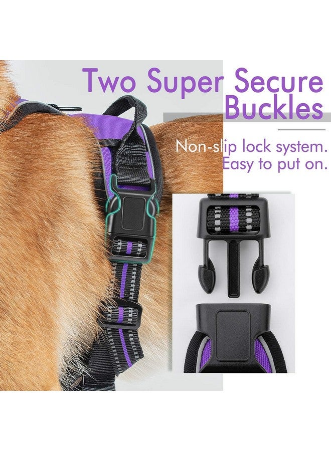 رابيتجو حزام كلاب من rabbitgoo، حزام لا يسحب للحيوانات الأليفة مع مشبكين للمقود، سترة ناعمة مبطنة قابلة للتعديل للكلاب، سترة أكسفورد عاكسة لا تخنق الحيوانات الأليفة مع مقبض تحكم سهل للكلاب متوسطة الحجم، أرجواني، مقاس M - Image 5