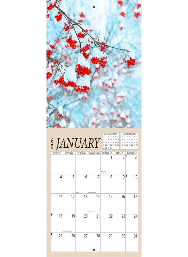 Crenstone Seasons Calendar 2026 - Deluxe 2026 Changing Seasons Wall Calendar Bundle with Over 100 Calendar Reminder Stickers (Nature Gifts, Office Supplies) | Made In The USA - Image 3