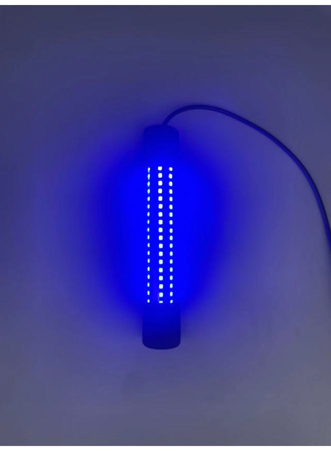 5v Underwater Fish Trap Light Fishing Light White Green Light Blue Night Fishing Light Waterproof Charging Treasure Light-Color:5v Blue Light - Image 1