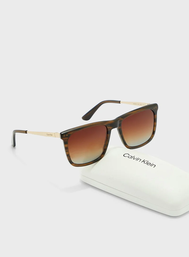 CALVIN KLEIN Wayfarers Sunglasses
