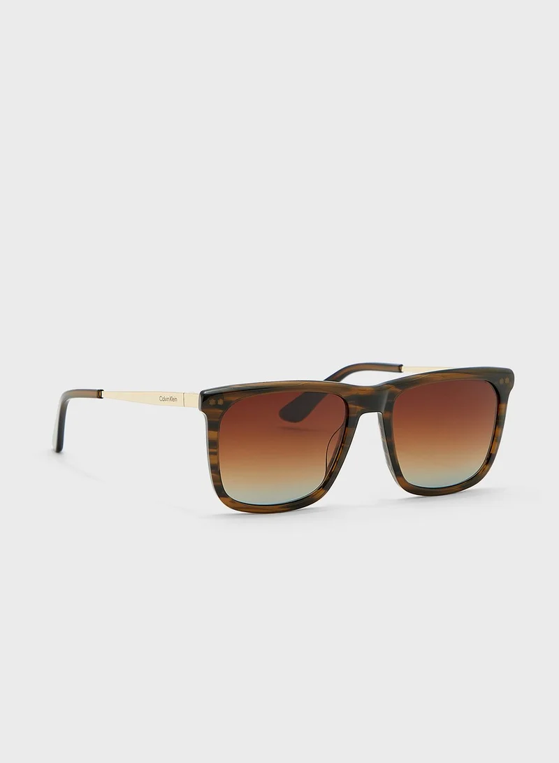 CALVIN KLEIN Wayfarers Sunglasses