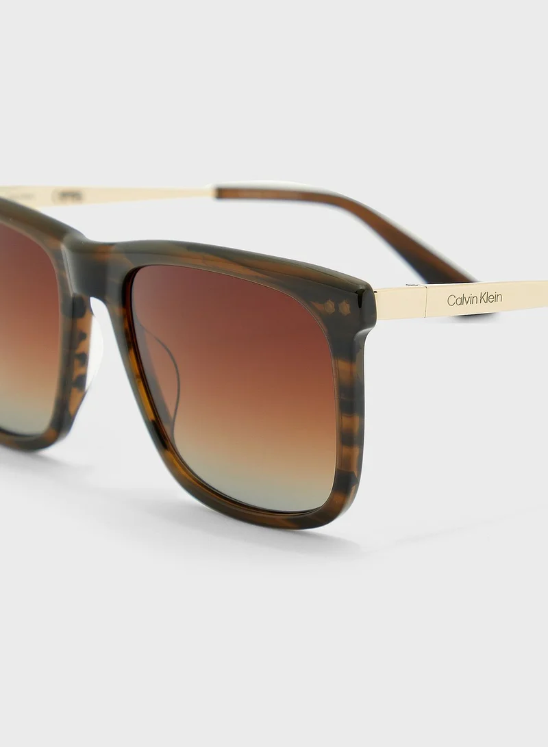 CALVIN KLEIN Wayfarers Sunglasses