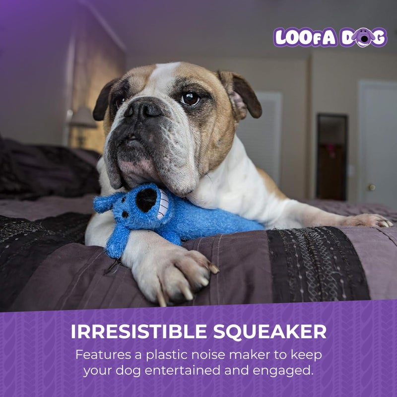 Multipet Original Loofa Dog Plush Toy - Squeaky Toy for All Dogs - Extra Soft Plush - Stuffed Animal Dog Toys for Playing (1 Count, 6”, Random Color Surprise) - Image 5