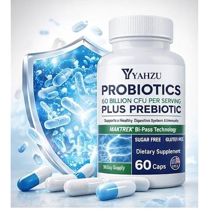 60 Billion CFU Probiotics with Prebiotic Fiber – Synbiotic Digestive & Immune Support for Men & Women, 4 Clinically Researched Strains, 60 Vegan Capsules - Image 3