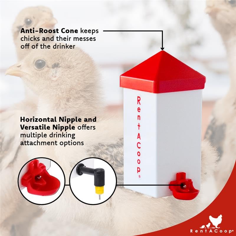 RentACoop 32oz(1L) Drinker Plus 2 Versatile Nipples - Suitable for Chicks, Quail, Pigeons, Doves, and Other Smaller Birds - 1 Pack - Image 3