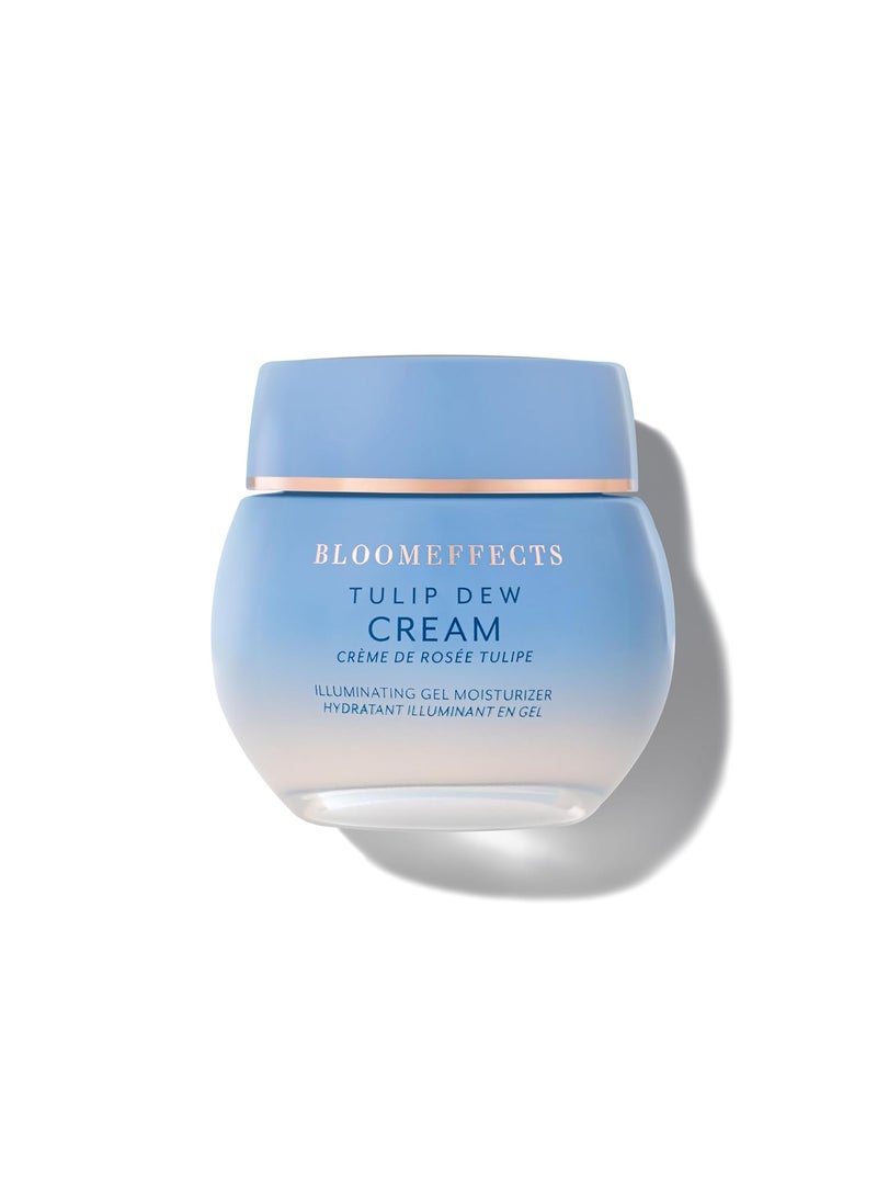 BLOOMEFFECTS Bloomeffects  Tulip Dew Cream 2In1 Moisturizing Primer  CrueltyFree NonToxic Clean Beauty 17 oz  50 ml 