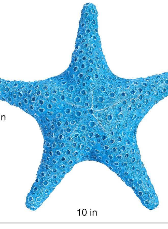 VVGIFTS Blue Ocean Beach Decoration Starfish Resin Wall Hanging Decoration (SkyBlue) - Image 3