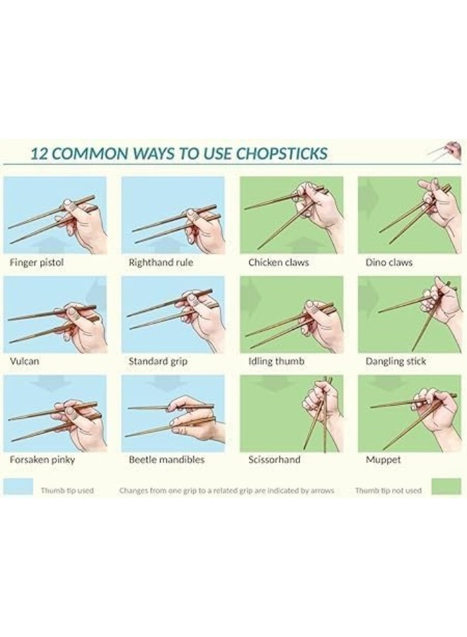 ١٠ أزواج من عيدان تناول الطعام المصنوعة من الخيزران الطبيعي، ٢٤ سم، عيدان طعام يابانية وصينية قابلة لإعادة الاستخدام، عيدان طعام للأطباق الساخنة، طقم هدايا عيدان طعام آمن للغسل في غسالة الأطباق - Image 4