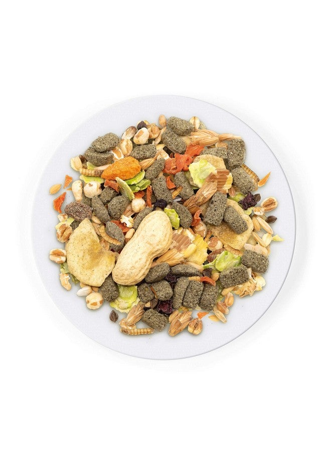 Witte Molen Pure Rat Seed Mixture Peanut & Banana Dry Rat Food (Dumbo Rats, Manx Rats, Dwarf Rats, Rex Rats) (Pure Rat Seed Mixture Peanut & Banana) - Image 3