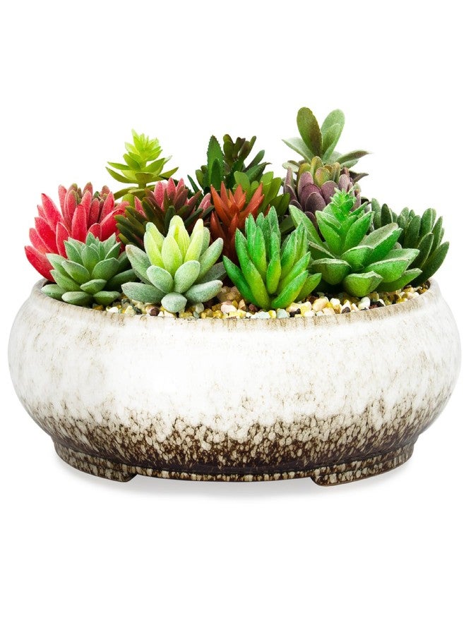 ARTKETTY Succulent Pots - Large Succulent Planters with Drainage Ceramic Bonsai Pots, Shallow Cactus Flower Plant Container Bowl for Home Office Decor(White) - Image 1