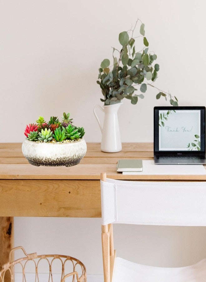 ARTKETTY Succulent Pots - Large Succulent Planters with Drainage Ceramic Bonsai Pots, Shallow Cactus Flower Plant Container Bowl for Home Office Decor(White) - Image 5