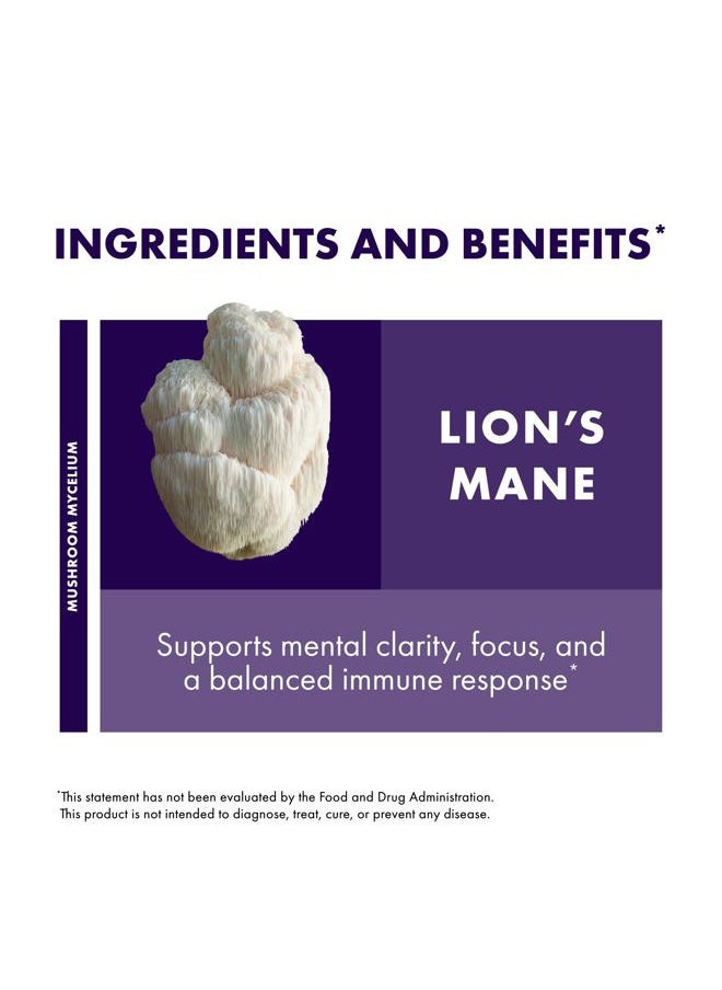 Host Defense - Mushrooms Lion's Mane Extract - Lion's Mane Liquid Supplement for Brain Health - Mushroom Support for Focus & Memory Function - Immune & Nervous System Support - 1 fl oz (30 Servings)* - Image 1