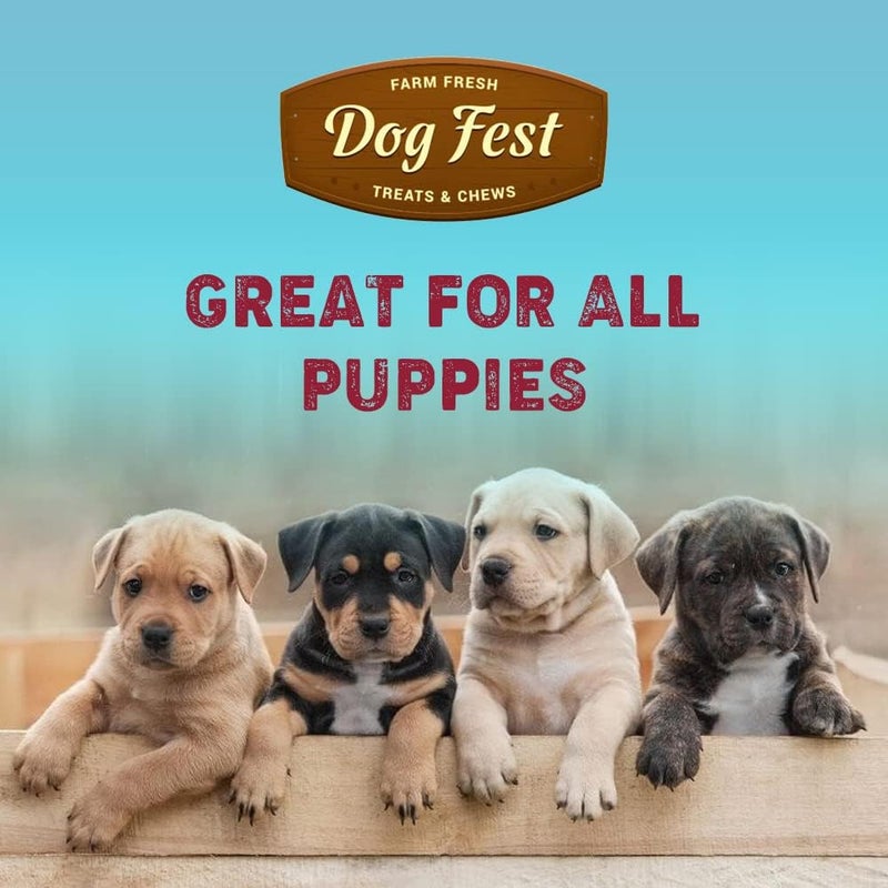 Dog Fest Rabbit Ears With Chicken For Puppies,Dog Treats - 90G (3.17Oz), Brown - Image 3