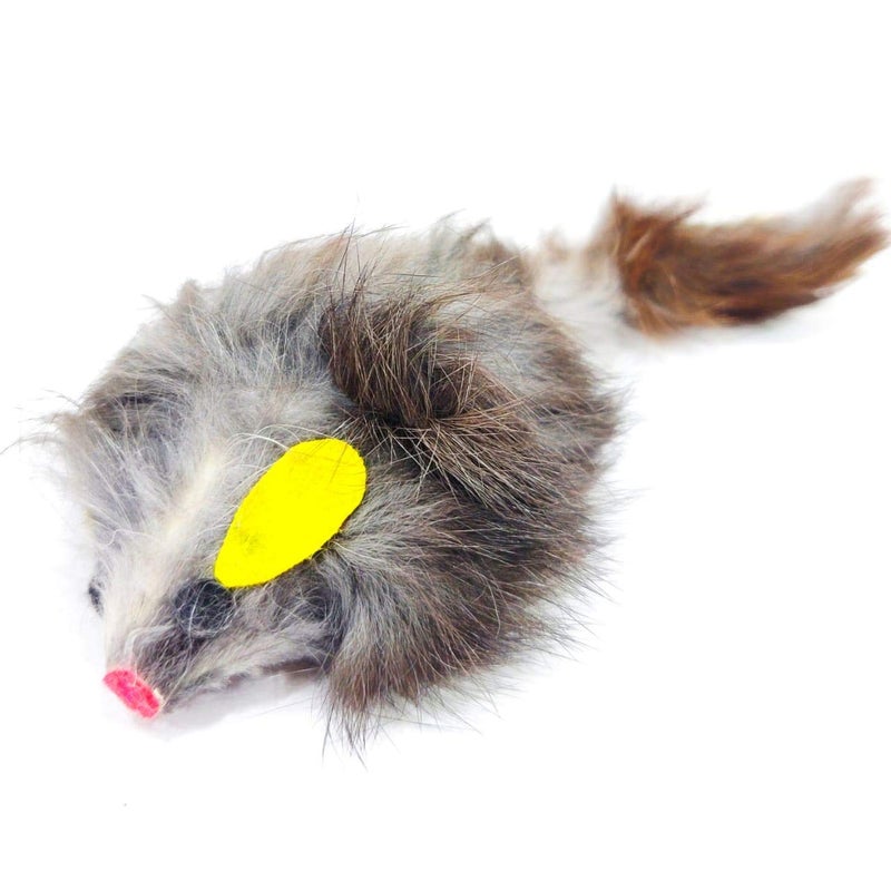 PETLICIOUS & MORE Play-N-Squealing Mouse Interactive Cat Toys Cat Toys for Kittens (Pack of One) - Image 3