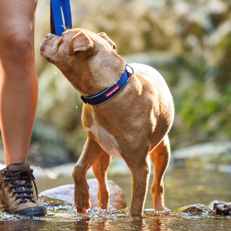 EzyDog Neo Dog Collar - Waterproof & Reflective Dog Collar with Soft Padded Neoprene for Comfort & Durable Nylon â€“ Features Quick Release Buckle and Built-in ID Clip (Small, Pink Camo) - Image 3
