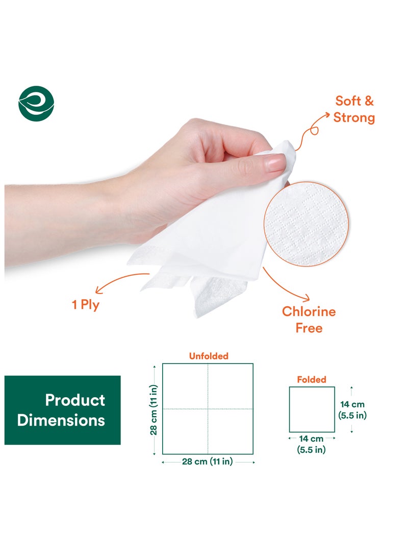 ECO SOUL Compostable Paper Napkins, 2 Ply, 100 sheets, Pack of 1 Ultra  Soft Absorbent Chemical Chlorine and Toxin Free - Image 2