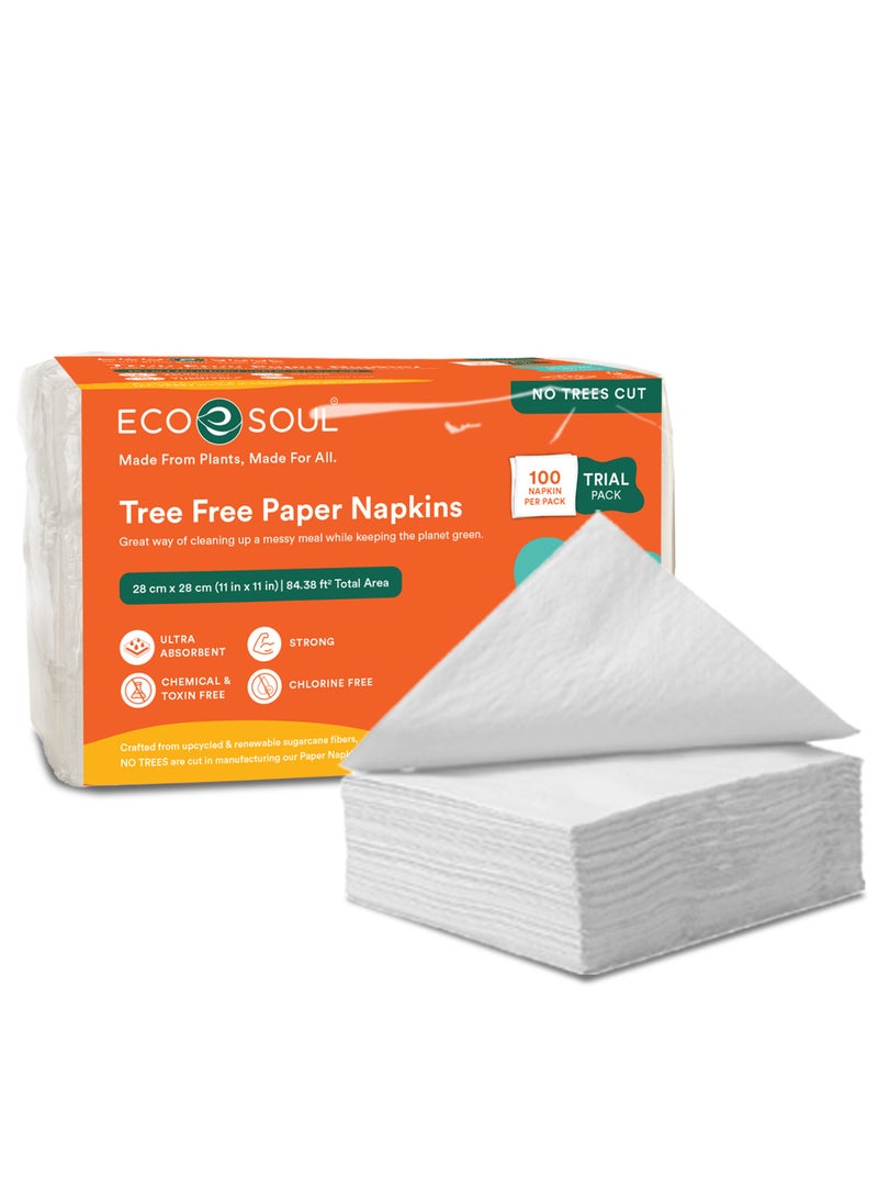 ECO SOUL Compostable Paper Napkins, 2 Ply, 100 sheets, Pack of 1 Ultra  Soft Absorbent Chemical Chlorine and Toxin Free - Image 5
