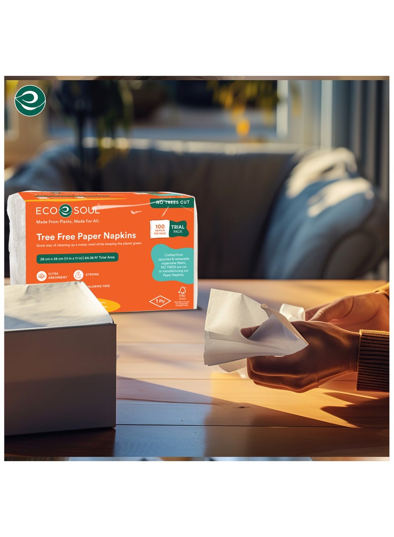 ECO SOUL Compostable Paper Napkins, 2 Ply, 100 sheets, Pack of 1 Ultra  Soft Absorbent Chemical Chlorine and Toxin Free - Image 3