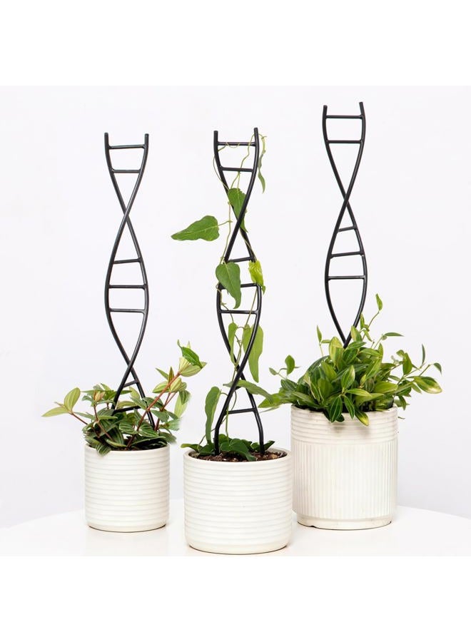 Goooxim DNA Spiral Plant Trellis Indoor - Durable Metal Trellis for Potted Plants, Perfect for Small Houseplant Pots, Ideal for Ivy and Pothos, Space-Saving Vertical Support for Climbing Growth - Image 1