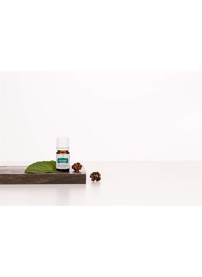 Young Living Peppermint Vitality Essential Oil by Young Living - 100% Pure, Therapeutic-Grade Peppermint Oil for Culinary Use - 5 ml Bottle for Aromatherapy and Flavoring Beverages and Food  - Image 3