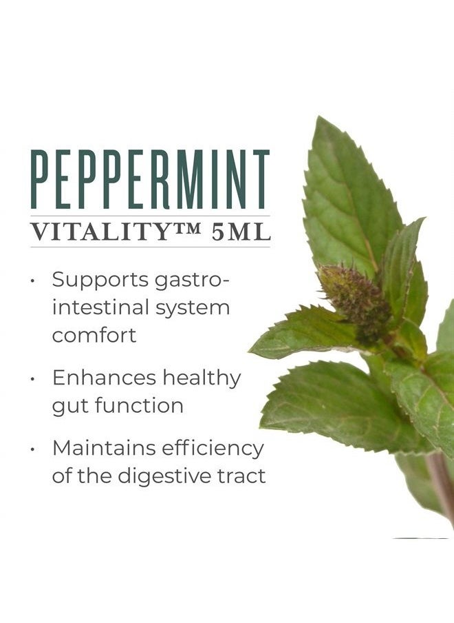 Young Living Peppermint Vitality Essential Oil by Young Living - 100% Pure, Therapeutic-Grade Peppermint Oil for Culinary Use - 5 ml Bottle for Aromatherapy and Flavoring Beverages and Food  - Image 2