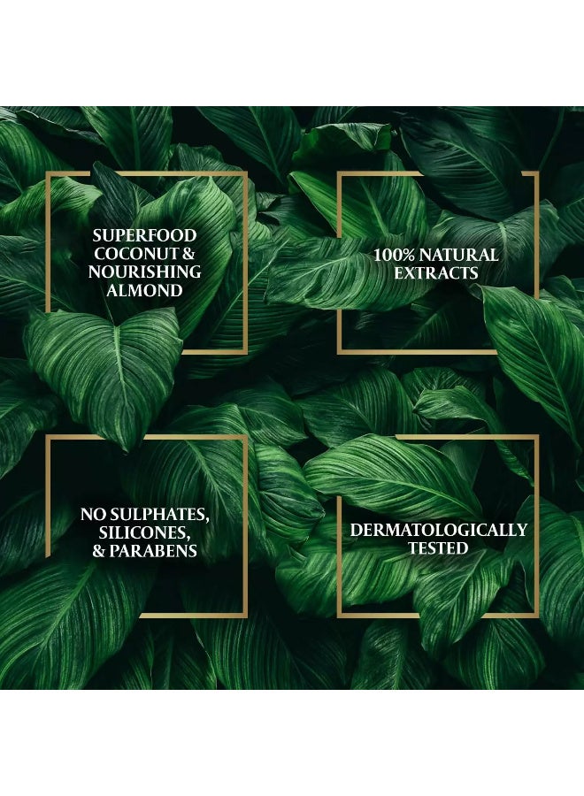 باراشوت زيت الشعر بجوز الهند واللوز من باراشوت لشعر أكثر نعومة – 300 مل - Image 4