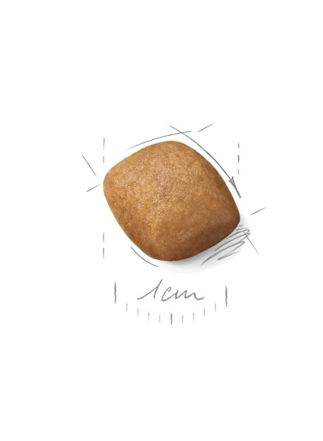 رويال كانين تولد الصحة والتغذية صغير طويل الشعر الكبار 1.5 كجم - Image 2