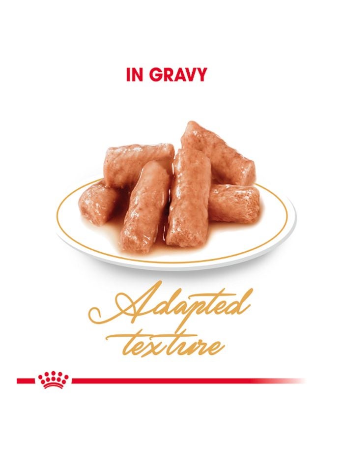 ROYAL CANIN تغذية سلالة القطط البريطانية شورت هير (طعام رطب - أكياس) 12 × 85 جرام - Image 2