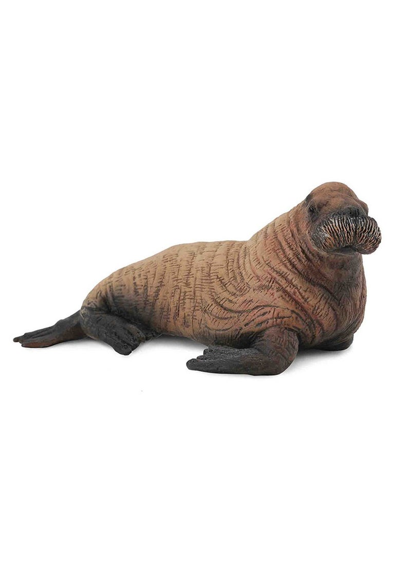 Collecta - Walrus Calf - 88570