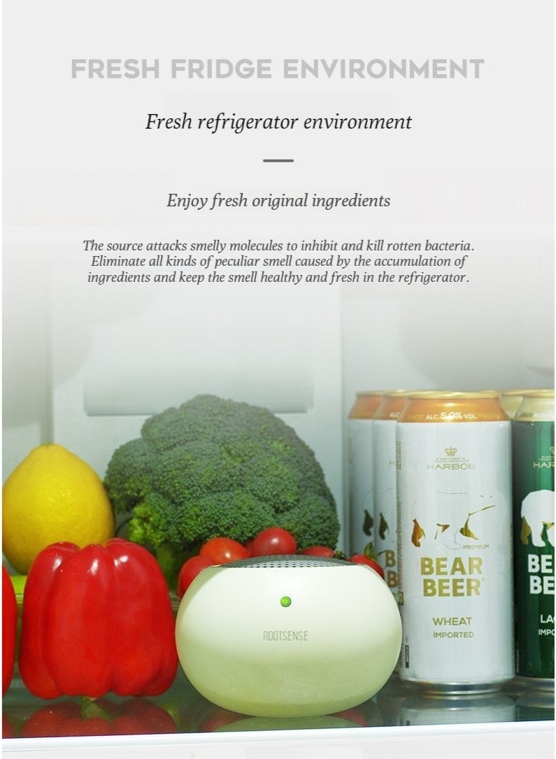 ROOTSENSE refrigerator odor-removing eggs can quickly kill bacteria, disinfect, inhibit bacteria growth, eliminate odors, extend freshness, and purify the air. - Image 5
